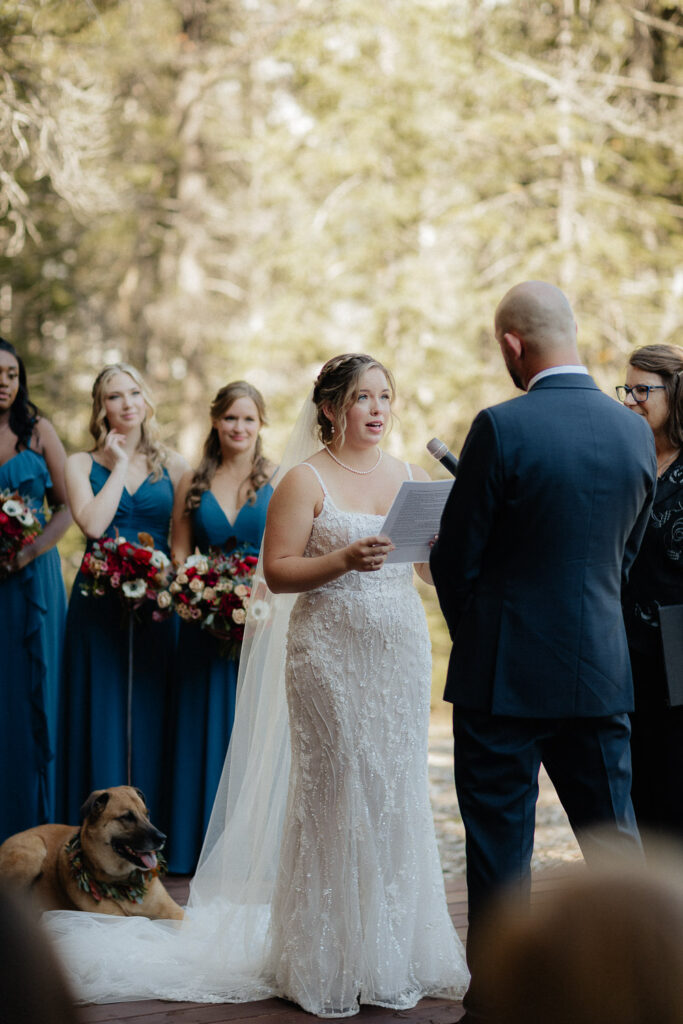stewart creek wedding in canmore, alberta